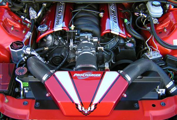 Procharger - 2002 to 1998 FIREBIRD  LS1 Intercooled Serpentine Race Kit with D-1SC (8 rib)