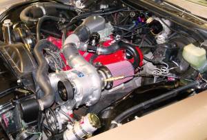 ProCharger Specialty kit by The Supercharger Store - High Output with P-1SC (8 rib) - Image 4