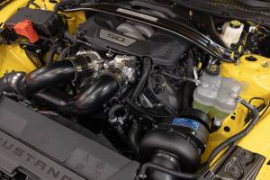 2024-2025 Mustang GT / Darkhorse - Engine Bay