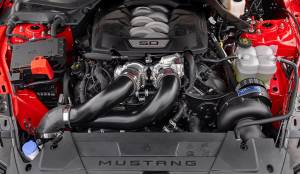 2024-2025 Mustang GT / Darkhorse - Engine Bay